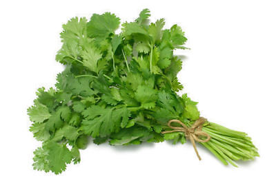 Coriander (bunch)