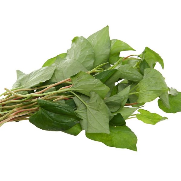 Fish Mint Diếp Cá (bunch)