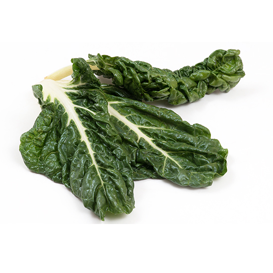 Silverbeet 93248