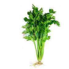 Thai Celery Cần Ta (bunch)