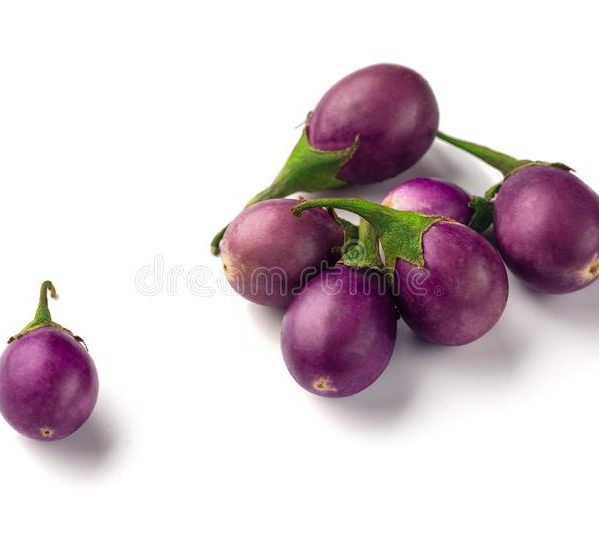 Group Baby Purple Eggplants White Background Fresh Thai Round Eggplant Isolated 153473783