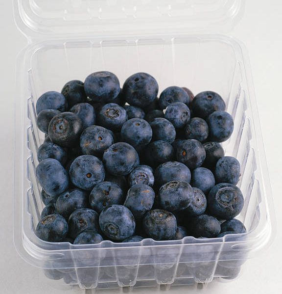 Summer Fresh Blueberries In A Plastic Container.