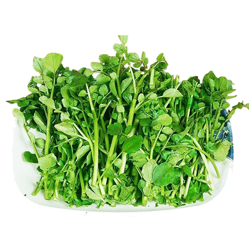 Watercress Young Fresh (cải Xoong Tươi Non)